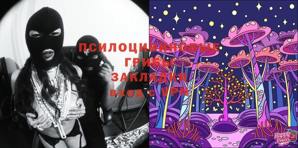 ПСИЛОЦИБИНОВЫЕ ГРИБЫ Заводоуковск