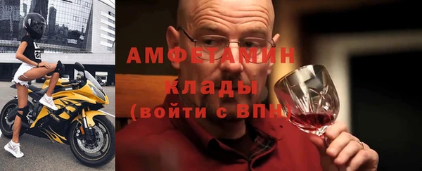 индика Заволжье