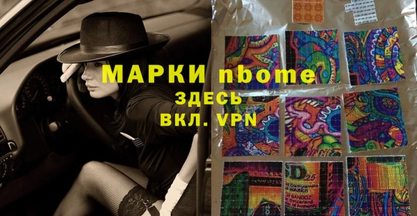 индика Заволжье
