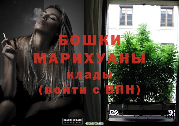 индика Заволжье