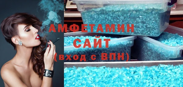 индика Заволжье