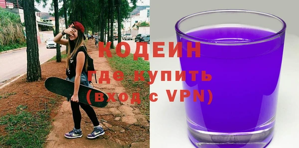индика Заволжье