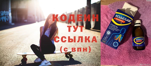 индика Заволжье