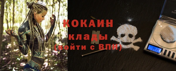 индика Заволжье
