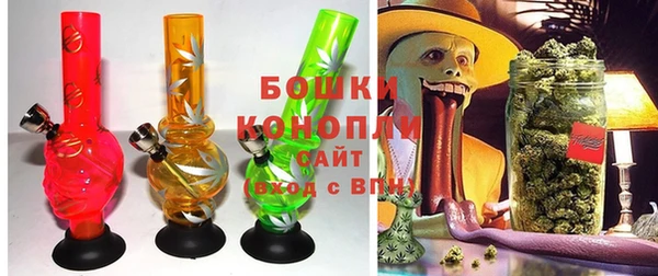 индика Заволжье