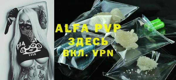 индика Заволжье