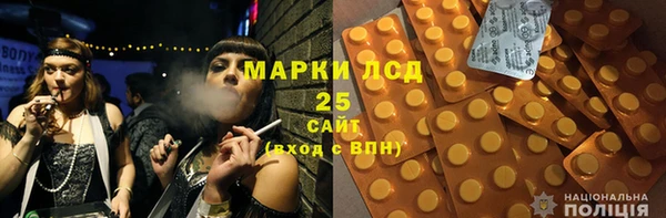 ПСИЛОЦИБИНОВЫЕ ГРИБЫ Заводоуковск