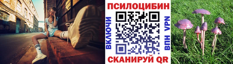 Купить где Павлово Псилоцибиновые грибы MAGIC MUSHROOMS